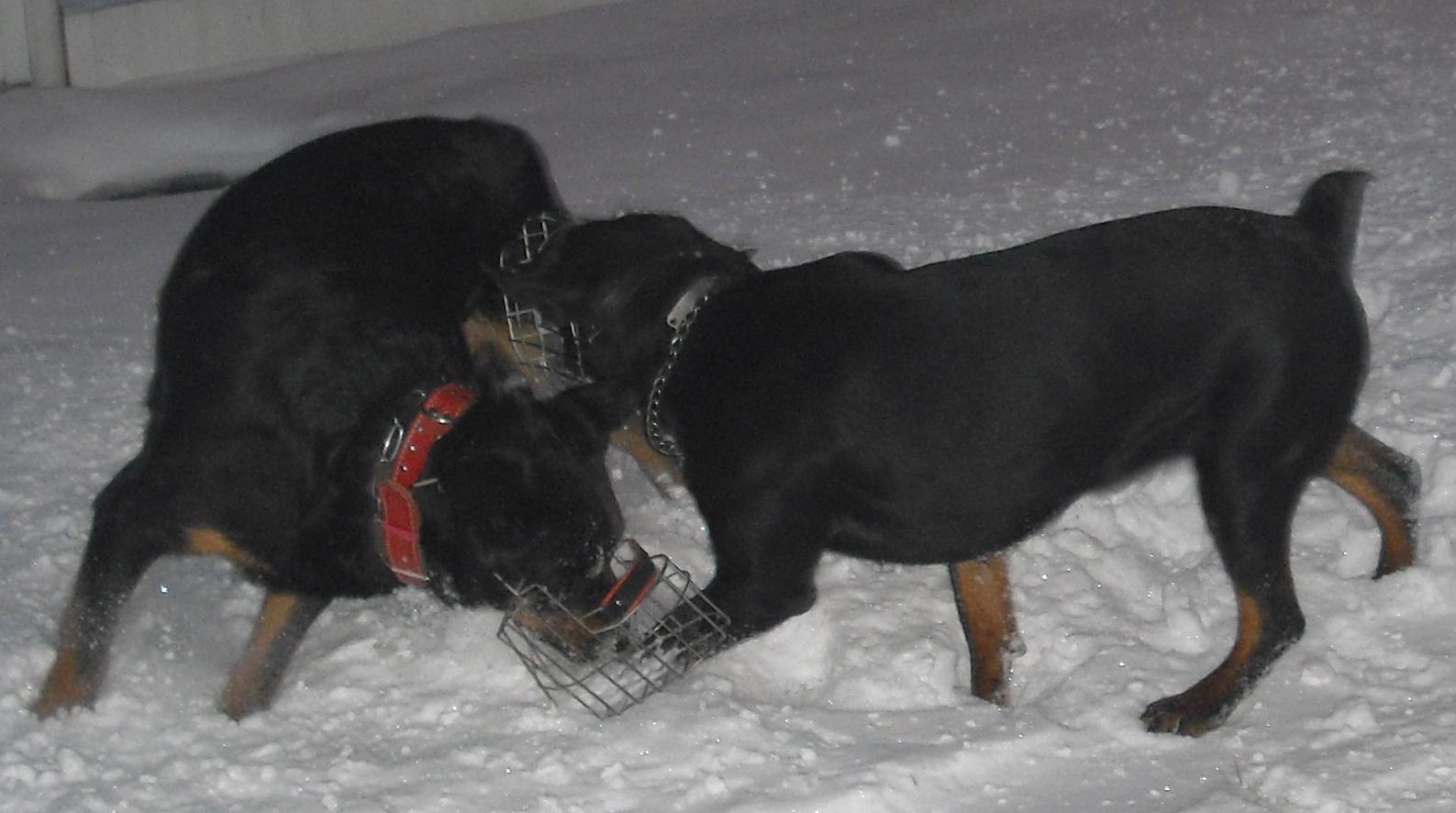 Cora a Nero