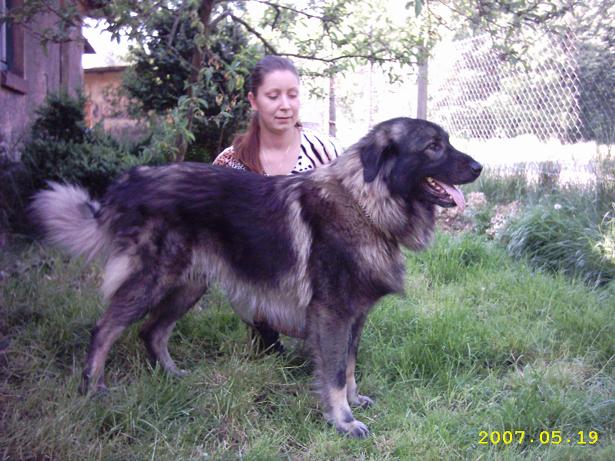 Toho vzadu si nevšímejte, to jsem já